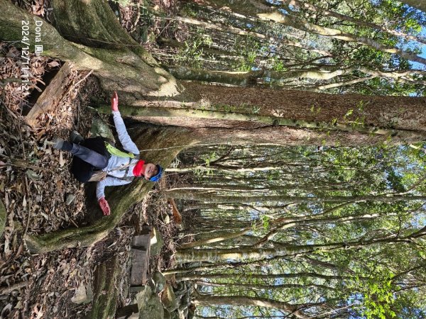 【谷關七雄】屋我尾山(H1796m)＆屋我尾山北峰(H1784m)熱身行2670247