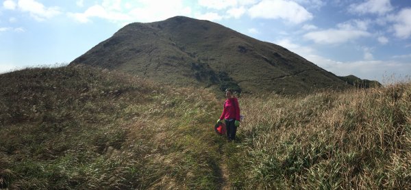 香港山系 － 大嶼山931037