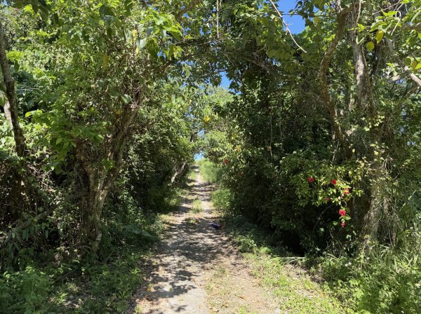 2025_1018 花蓮山步道2921274