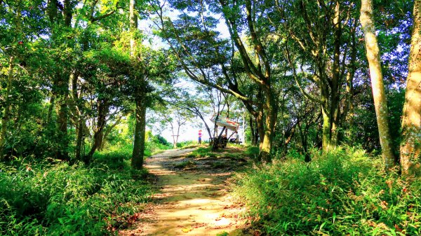 桃園石門山2916137