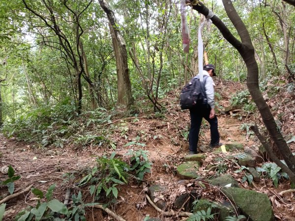 基隆市三層山+湳子大崙+淡基橫斷古道+面桶寮土地公2982232