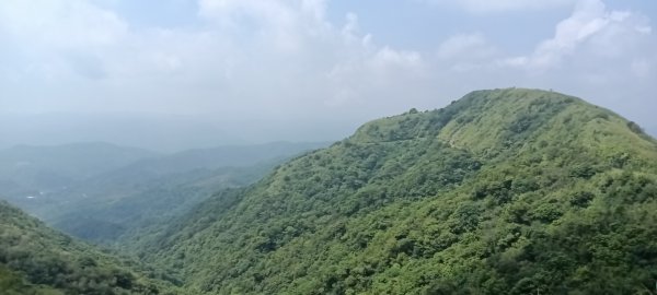 雙溪區不厭亭-牡丹山-金瓜石福德-樹梅坪-不厭亭-金字碑探幽亭-三貂崙-不厭亭8字走3111393