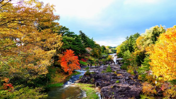 岩手縣嚴美溪2930211