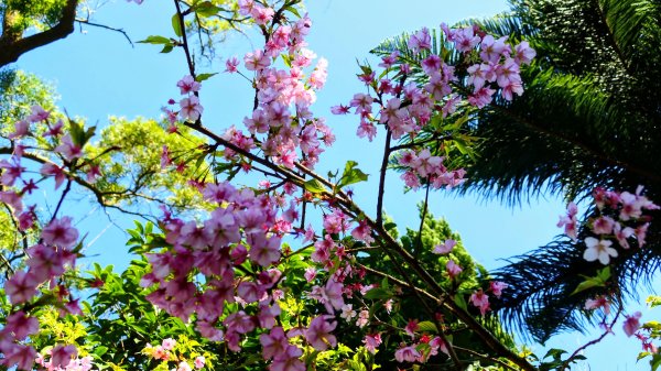 經營時間的早餐店2993563