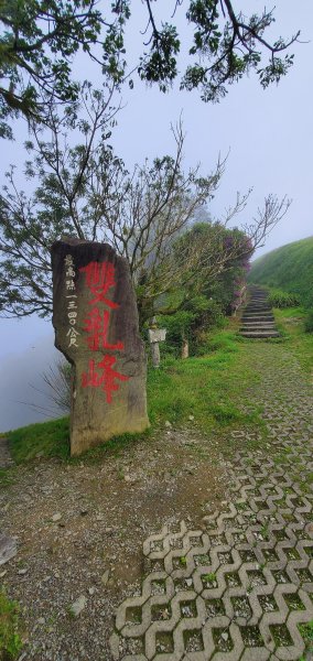 2023-04-28太麻里金針山步道2137005