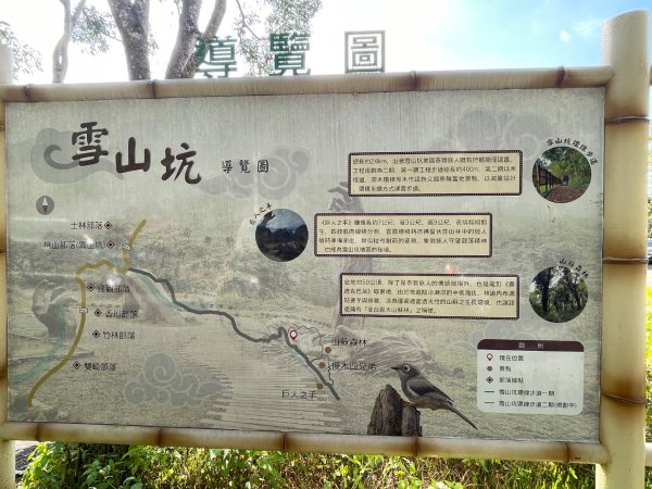 1141129巨人之手｜雪山坑登山步道2949138