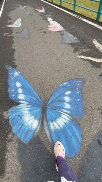 桃園大溪-花彩節🌼李騰芳古厝-月眉落雨松2934852