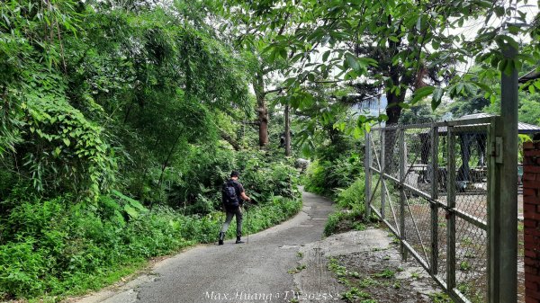 《台中》優美稜線｜橫嶺山自然步道（大雪山社區南登山口）202505312800259