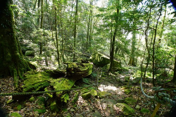 台中 和平 鳶嘴山2926906