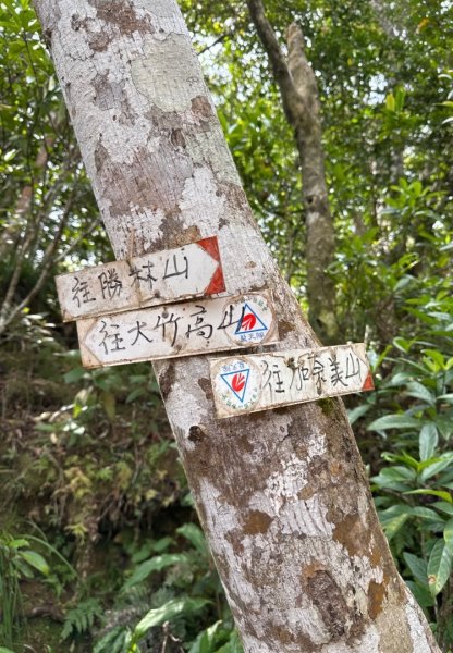 台東三小百岳 Day 1：巴塱衛山#96 加奈美山#95 太麻里山#943006142