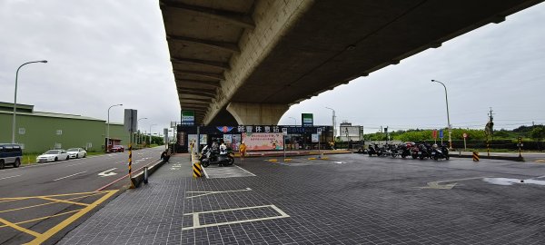 2026/06/28 新豐紅樹林生態保護區3079797