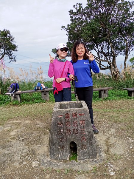 【小百岳集起來】土庫岳芒花飄逸、楓紅絢麗1221956