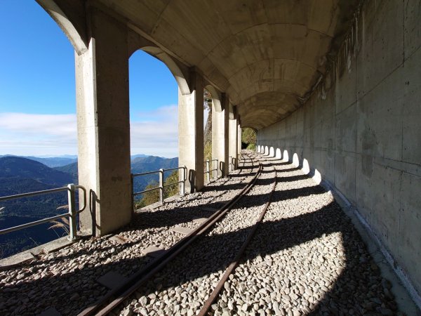 阿里山眠月線20211229-301618032