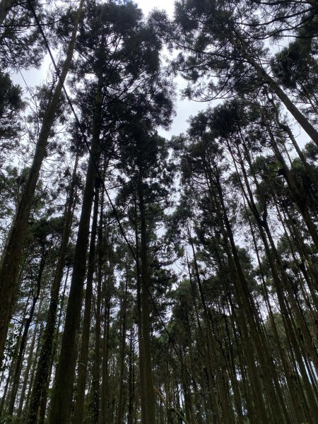 竹崙山志騰山3065563
