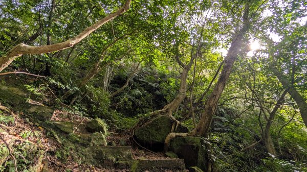 114.11.15平溪小黃山段-望古瀑布段之旅2937792