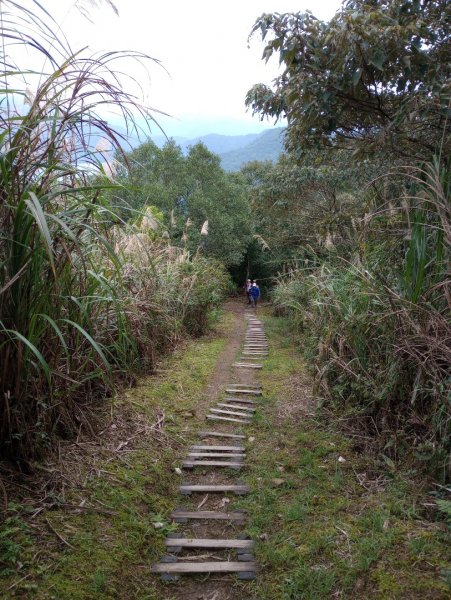 雷公埤山-鱷魚島觀景-小格頭獅頭山2001537