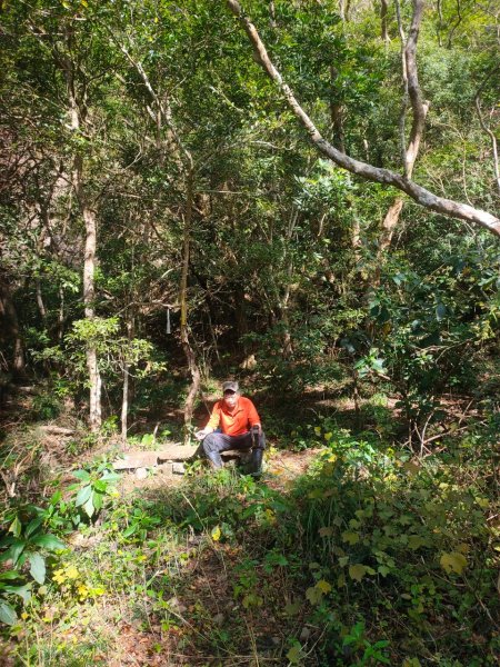 20250215屏東北湖呂山2715904