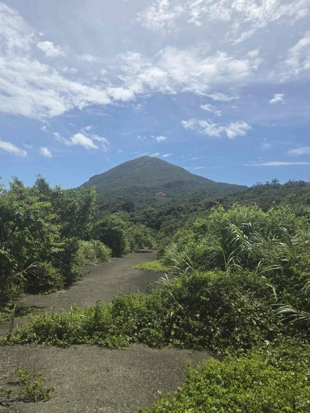 20260713跌死猴坑古道-瑞芳三小山3087598
