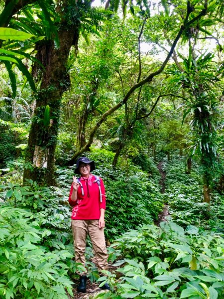 巴唐古道、三角崙山、聖母山莊步道O走1748465