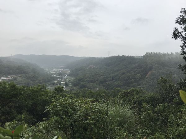 滿月圓森林步道 林口森林步道186856