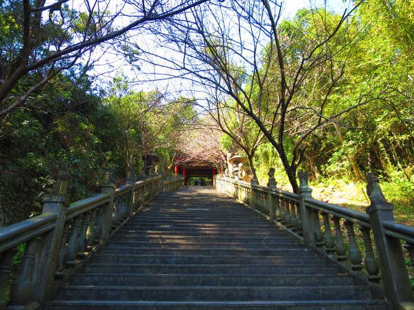 龍年首登的好選擇，鯉躍龍門，搭捷運來內湖爬三尖，鯉魚山、忠勇山、圓覺尖2426491