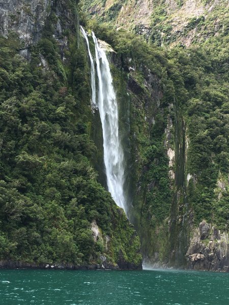 紐西蘭南島峽灣冰河843087