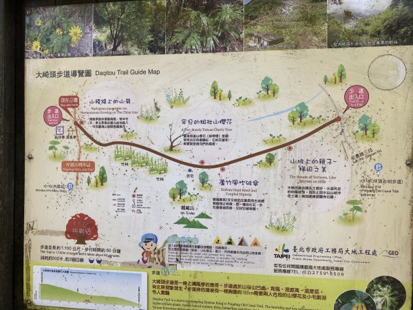 內雙溪的消暑密碼｜走一趟坪頂古圳就懂2873115