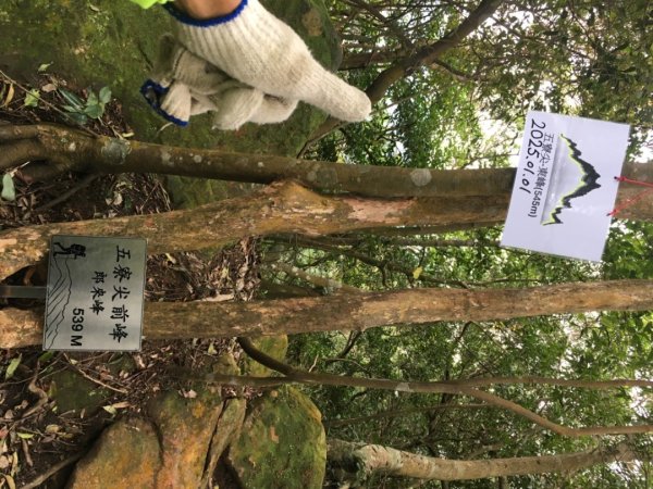 慶元旦（🎉🍾️2025-01-01🍾️🎊2680649