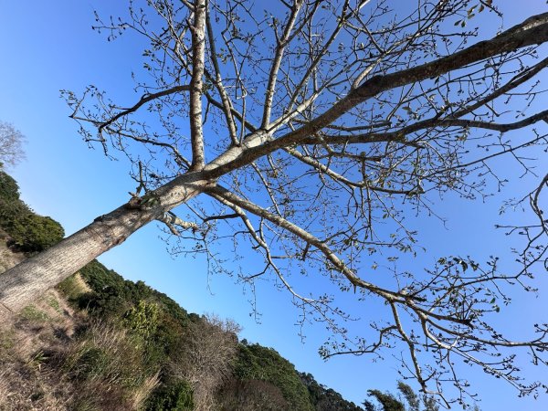 新竹湖口-畚箕窩溪濱水步道2717725