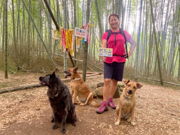 溪頭山、竹崙山、志騰山、妖怪村