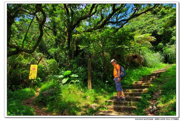 北投鳳梨宅-永春寮-中正山-竹子湖連走1092800