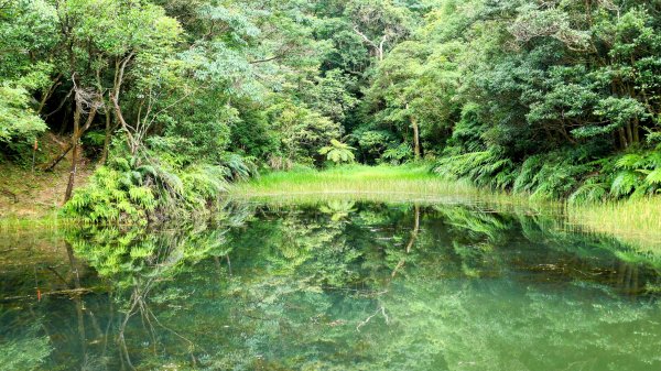 柯子林保甲路,如意湖,五指山古道2848898