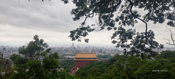 台北大縱走第五段二刷2260845