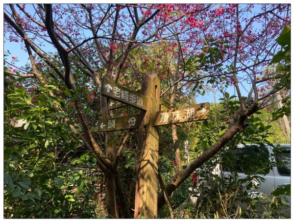 老崎古道、老崎坪頂山 (頭份)2737112