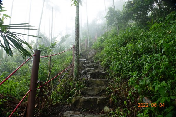 嘉義 竹崎 阿拔泉山1731237