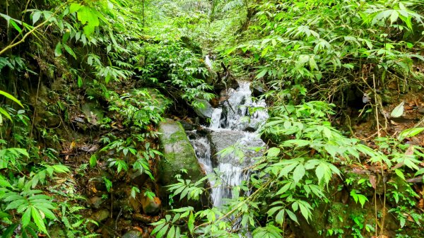 蛇子形古道。美廠產能完售2784747