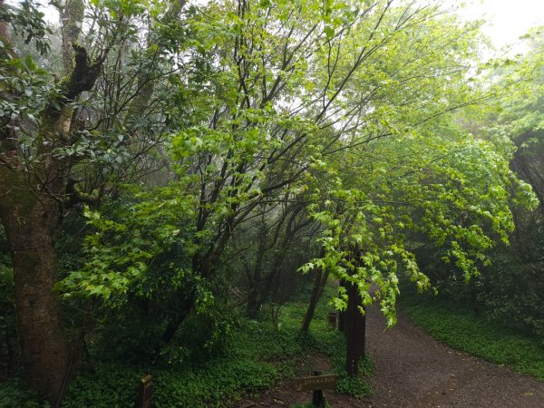 2026年臺北大縱走第一段：關渡至二子坪3010865