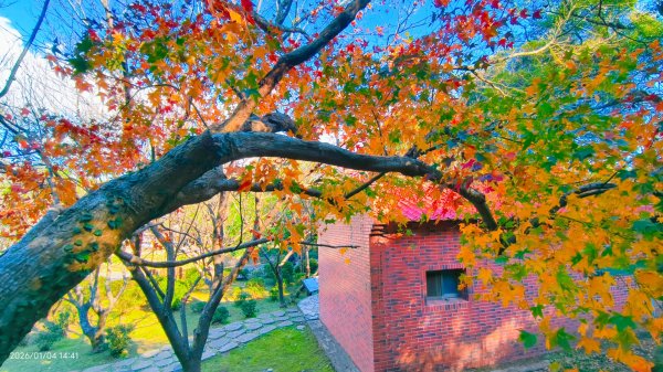 #花卉試驗中心 #永公路500巷 #平菁街42巷 #原住民公園 #士林官邸 1/42976627