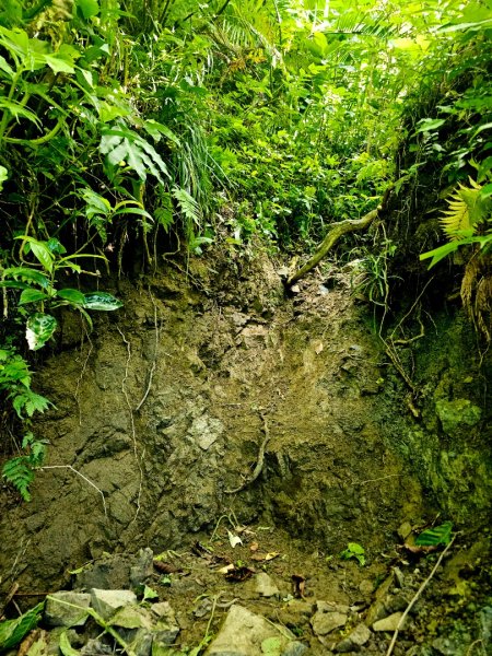 紅頭山-小百岳#97-台東縣蘭嶼鄉2901059