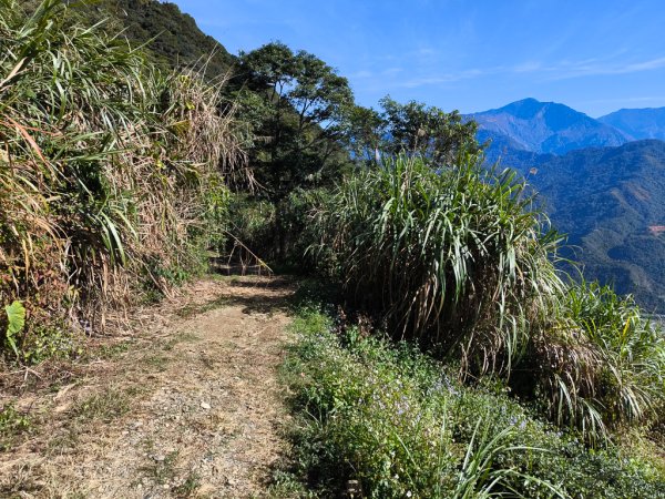 2025-12-21 武界山、獅凸魯山、橫屏山、橫屏山西峰2969745