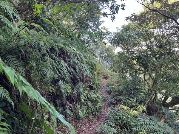 [微笑山線_第九段] 2025_0914 二格山系_皇帝殿東峰2889483