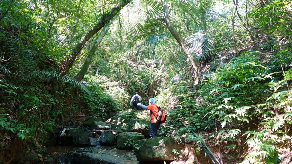 貢寮虎子山古道、龜媽坑古道O型122299