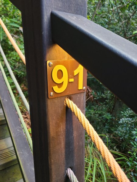 大坑10號提前修好啦(10號上+6號+7號下)2753645