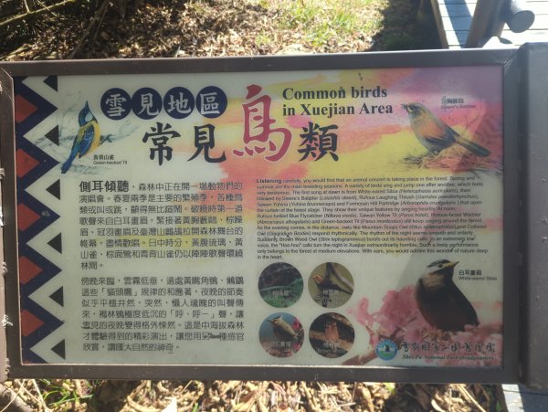 2025.12.06－北坑山步道&雪見遊憩區2956227