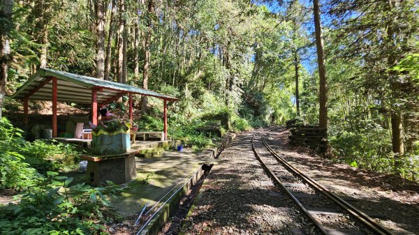 【絕版路線請勿跟進】十字路走得恩亞納-大O繞13.4K2791545