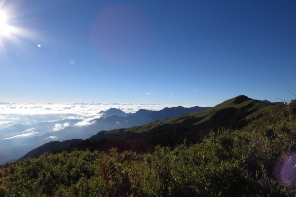 【步道小旅行】登山新手之能高越13K.奇萊南峰日出雲海4429