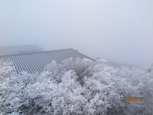 太平山霧淞100737