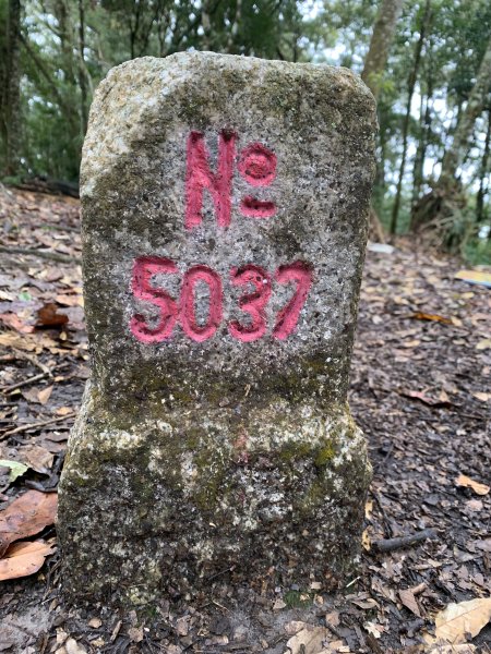 20251220嘉義凸龜山-芙蓉山-天福山2973778