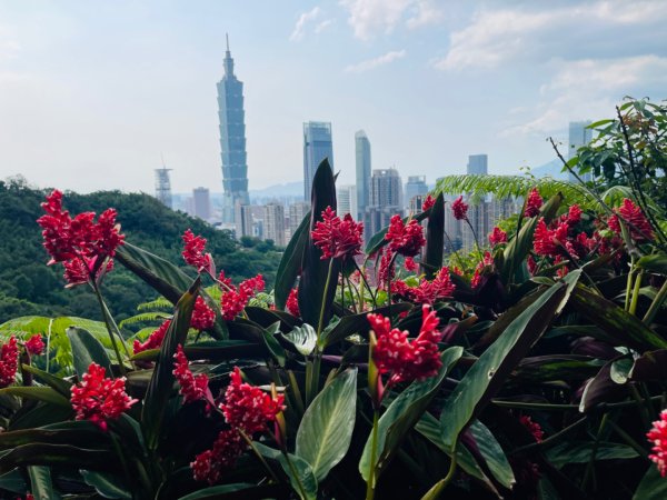 1140513象山峰-永春崗平台O繞封面