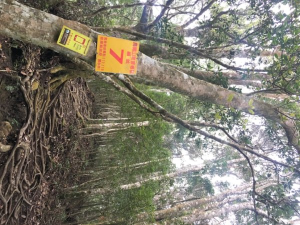 鳥嘴山（上島2708544